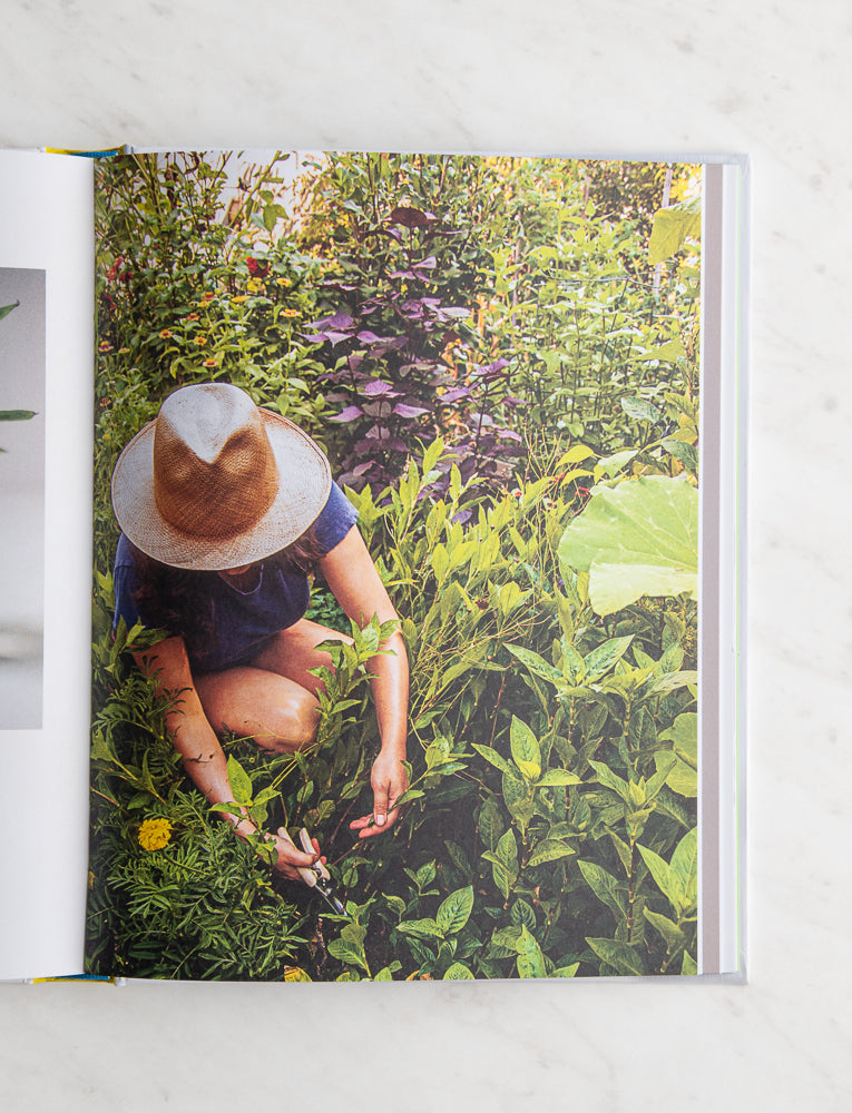 From Plant to Pigment