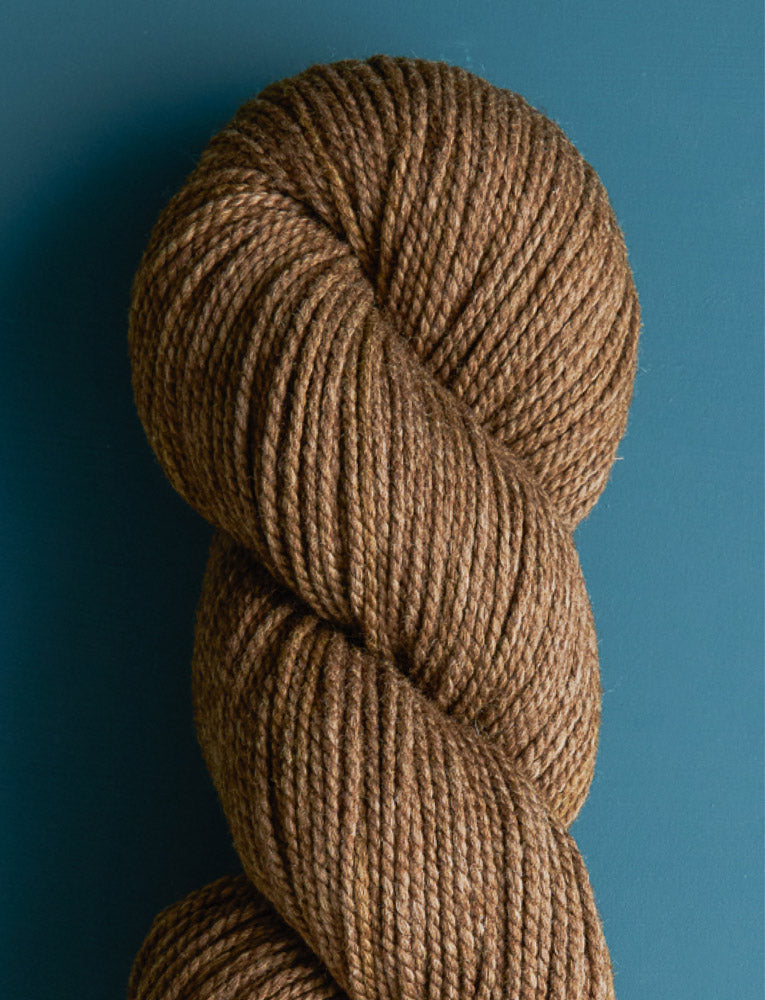 Elk Brown
