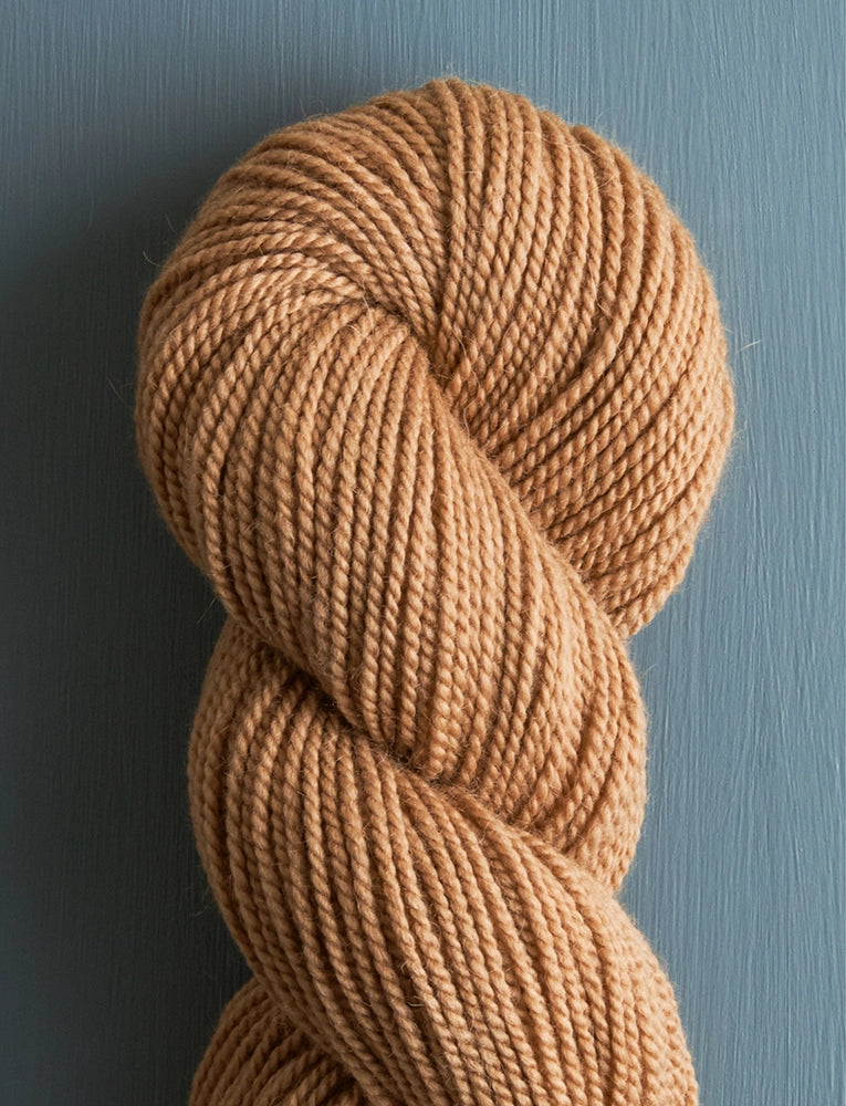 Simply Camel